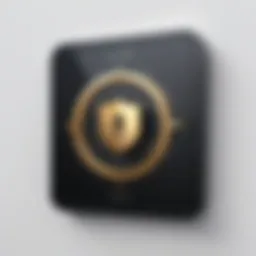 Illustration showcasing a secure password vault interface