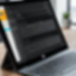 User interface of a leading OCR software