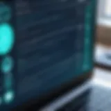 Secure video conferencing interface showcasing encryption features