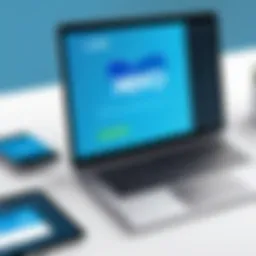 Visual representation of Xero and PayPal integration