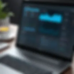 Overview of Orpheus Software Interface