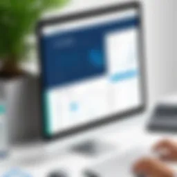 Overview of Raintree Medical Billing Software interface
