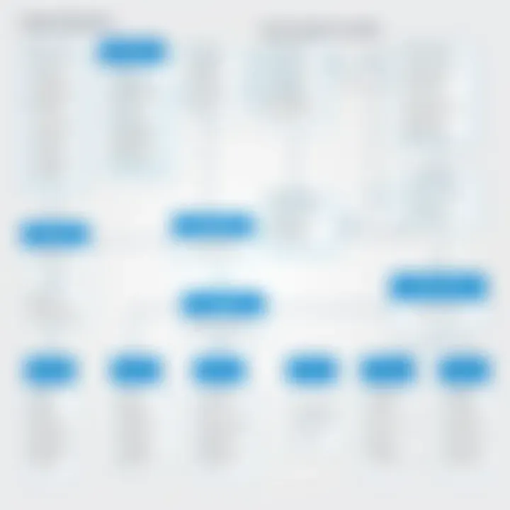 Flowchart of the Tipalti Payee functionalities