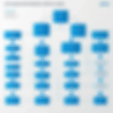 Flowchart depicting the organizational structure affected by Okta