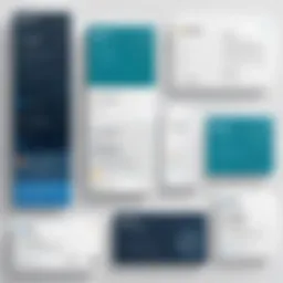 Visual representation of SAS license options